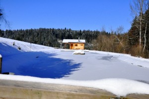 RS_Schwarz_Alm_Natur (4)